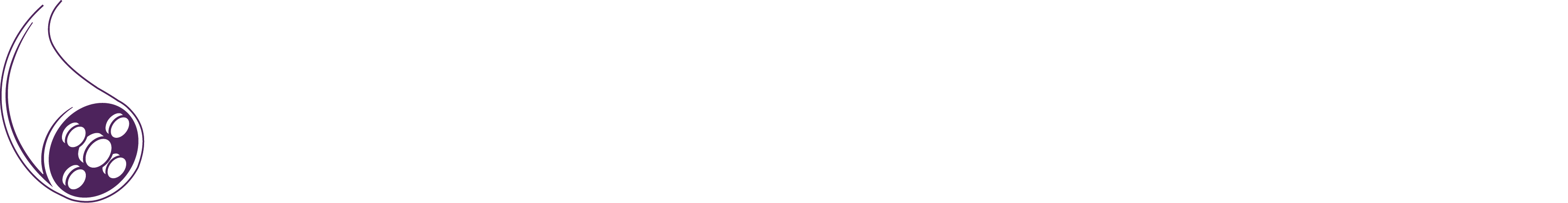 CompareBroadband.com logo white.